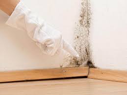 Best Mold Odor Removal Services  in Woodlynne, NJ